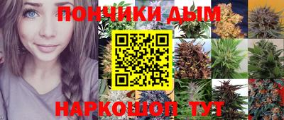 гидропоника Краснознаменск