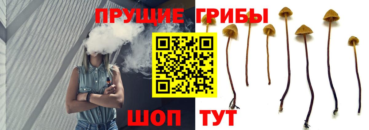 Жуковский  Псилоцибиновые грибы GOLDEN TEACHER  Вход с VPN 